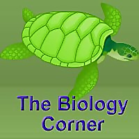 science images